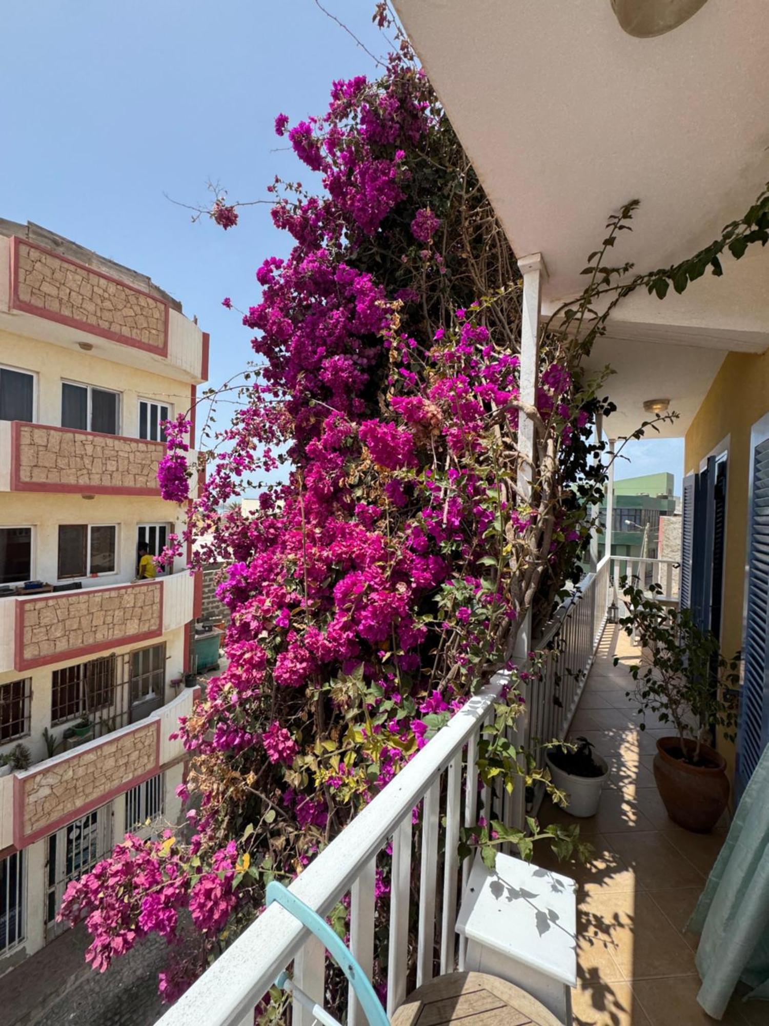 B&B Mi Ma Bo, Sal Rei, Boa Vista, Cape Verde, Free Wi-Fi Extérieur photo